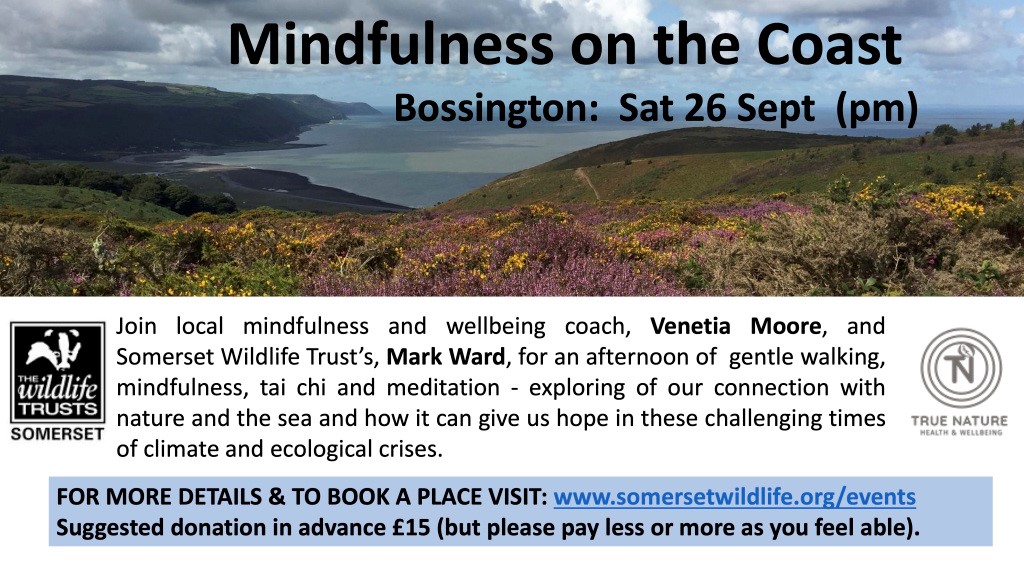 Mindfulness on Coast Poster