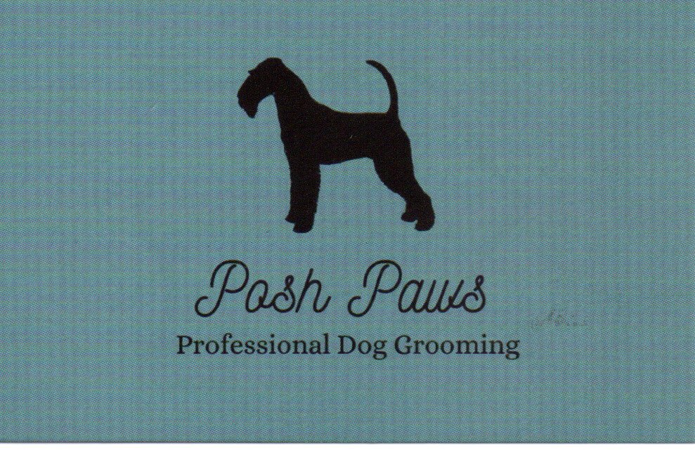 posh paws