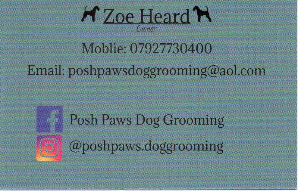 posh paws0001