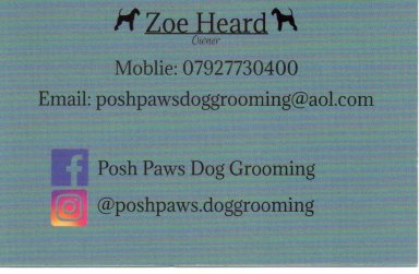 posh paws0001